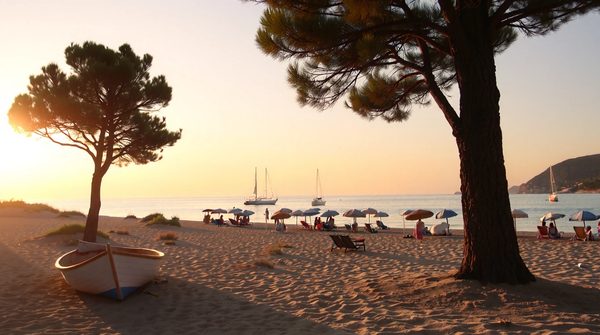 Camping à argelès-sur-mer : un paradis pour toute la famille !